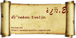 Énekes Evelin névjegykártya